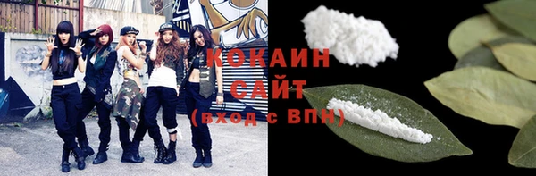 кокс Дмитров