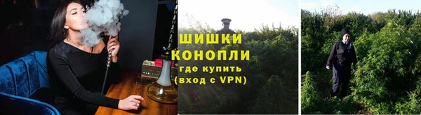 гашик Дмитровск