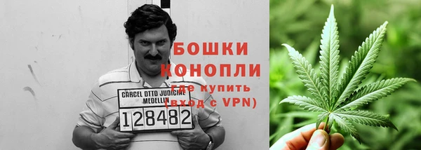 гашик Дмитровск