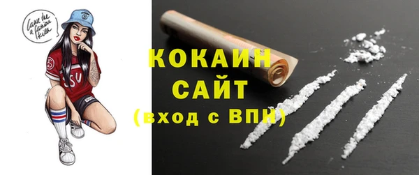 гашик Дмитровск