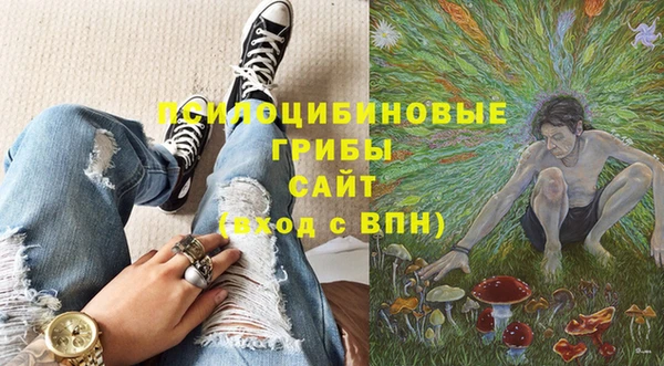 кокс Дмитриев