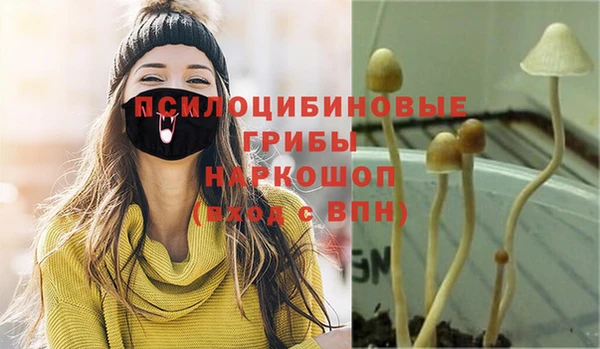 гашик Дмитровск