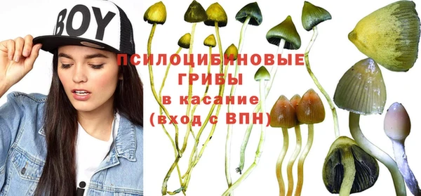 а пвп мука Елизово