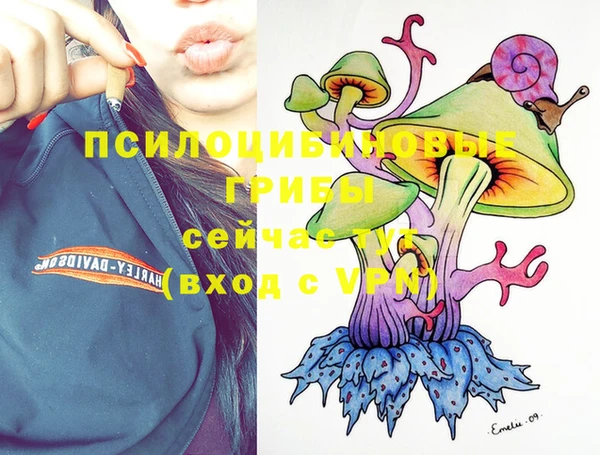 метадон Елабуга