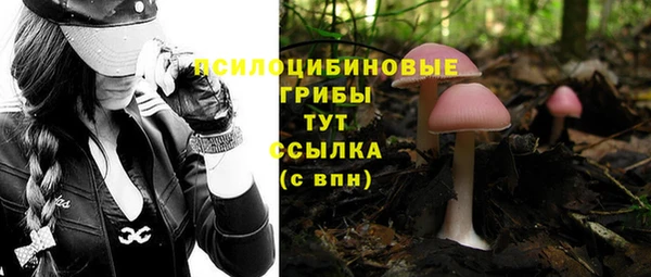 кокс Дмитров