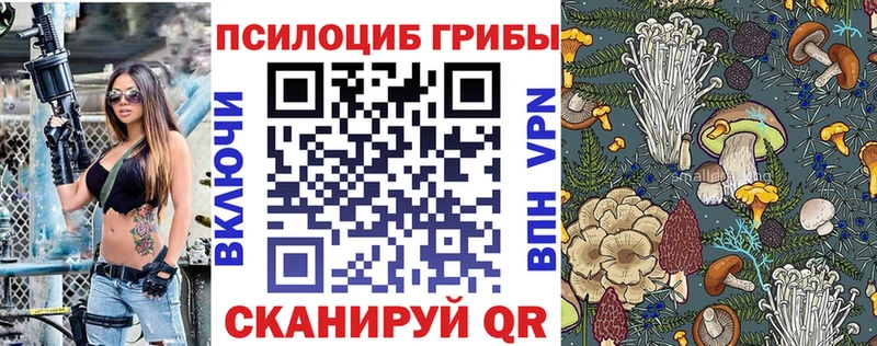 даркнет Telegram  МЕГА как войти  Лысково  Галлюциногенные грибы мицелий 